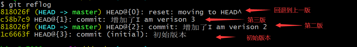 image-20211126201438785