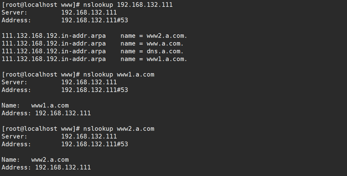 image-20211213194407628
