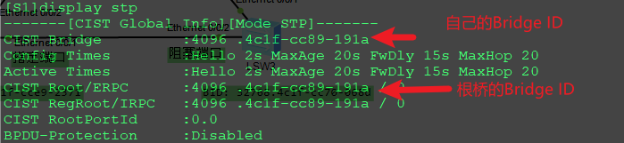 image-20230621182531276